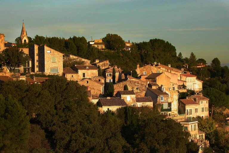 Lorem ipsum dolore  inserat quo