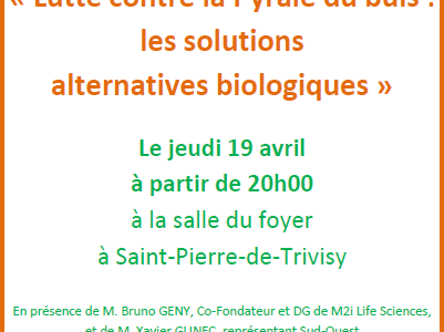 Lutte contre la Pyrale du buis : les solutions alternatives biologiques