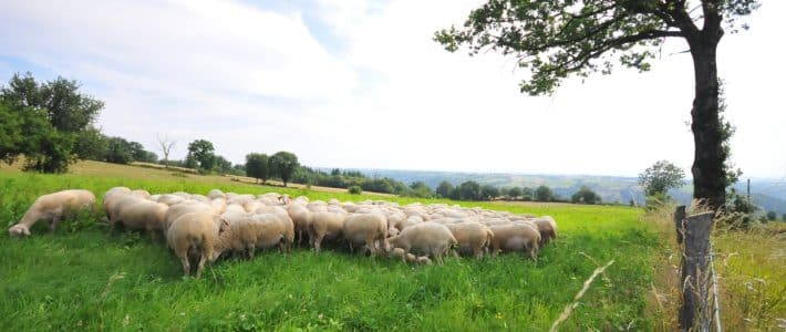 Lettre du ministre de l’agriculture